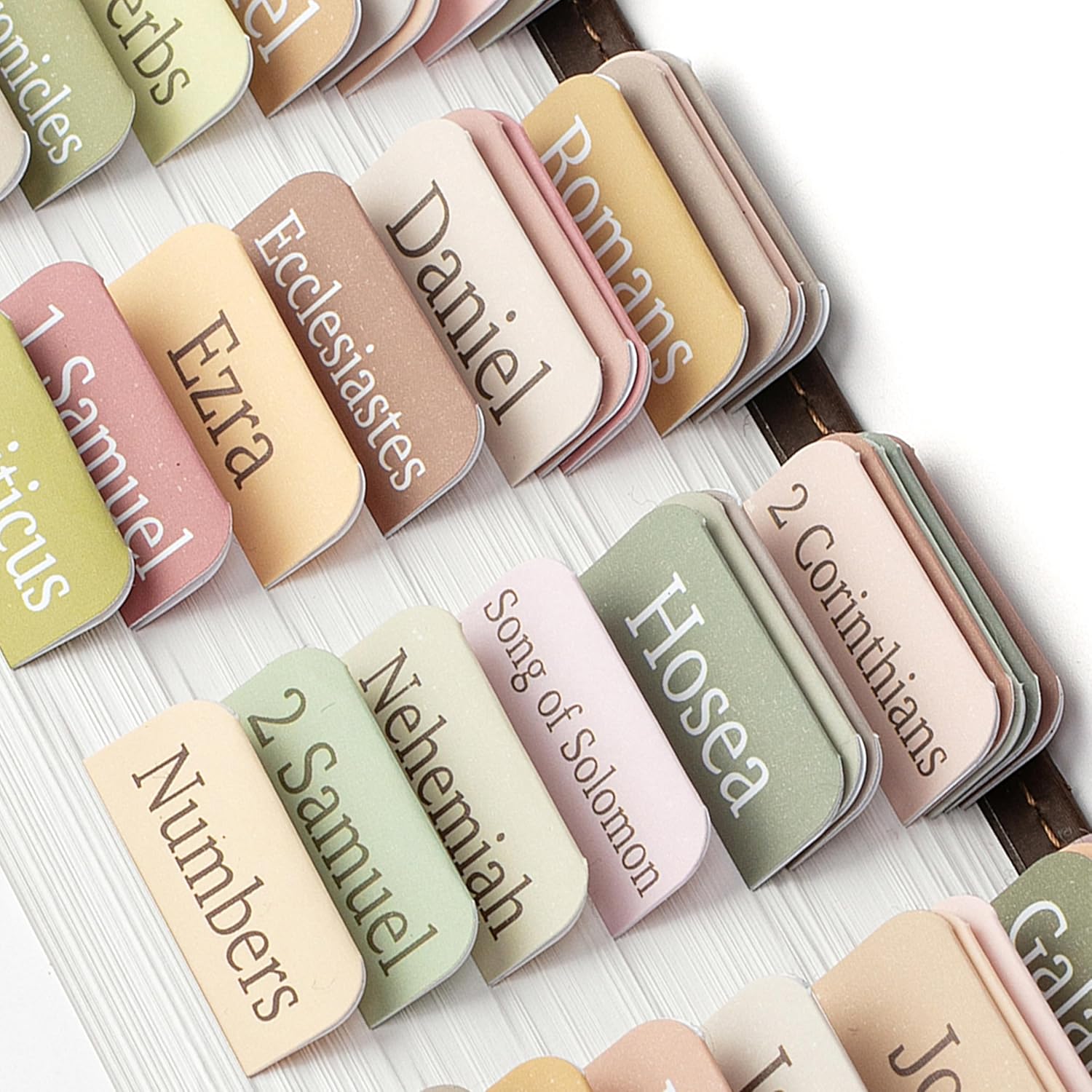 Index Tab Divider - 75 Boho Theme Laminated Tabs for